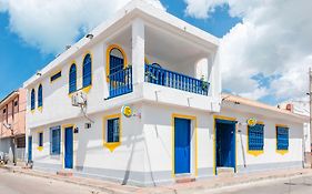 Casa Flor